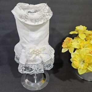 Pet dress white sz. Small new